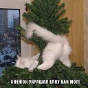 ���� �����, �����-��������� - ��������� 20 ������� 2016 � ������ ���� ����������