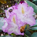 22.05.2016 �� ������� �������� ������������ ���.�