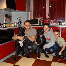 �������, ����������, 49 ���