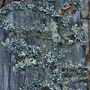 ���� �����, ����� ������� - ��������� 23 ������� 2016 � ������ ������� ����Ȼ