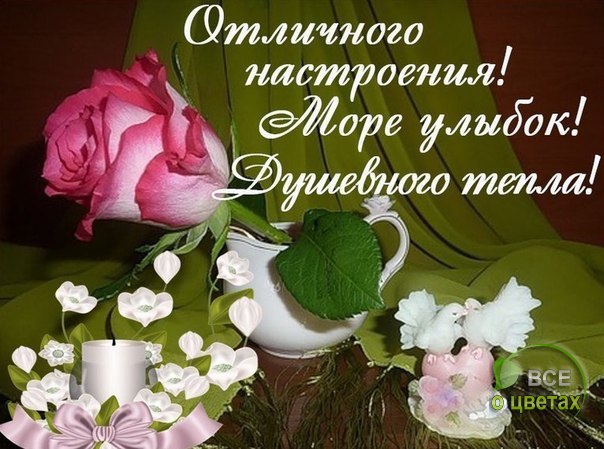 ��� � ������ - 12 ������ 2017 � 08:13