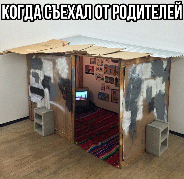    - 17  2016  16:13