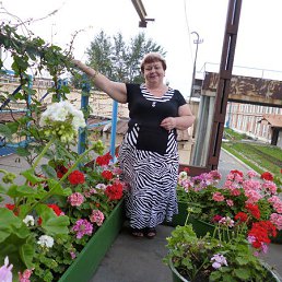 �������, ���������, 67 ���