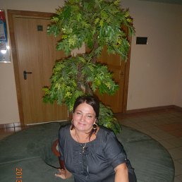 ������, �������������-����������, 59 ���