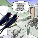  .,  -  23  2016    