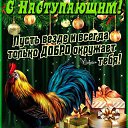 ���� Svetulja, ����, 55 ��� - ��������� 31 ������� 2016 � ������ ������ ��������
