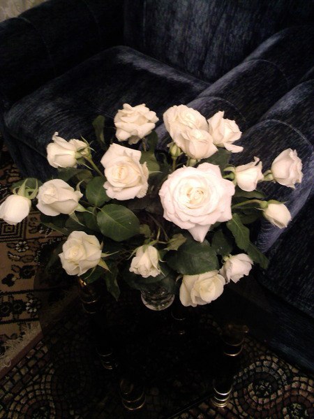 ����� - ��� ������ �������...