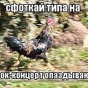 ���� ������, ��������, 41 ��� - ��������� 18 ������ 2016 � ������ ������ ��������