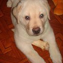 ���� ����, ������, 38 ��� - ��������� 28 �������� 2016 � ������ ���� ����������