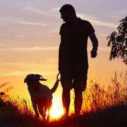 �����, �������