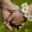 ���� �����, �����-���������, 61 ��� - ��������� 29 �������� 2016 � ������ ���� ���� ������