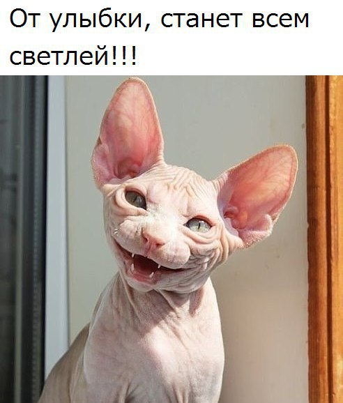 �������� - 31 ������� 2016 � 13:05