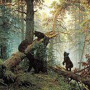 ���� ��������, ����������, 43 ���� - ��������� 2 ������� 2016 � ������ ������ ��������