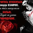 ���� �����, ����� - ��������� 23 ����� 2017 � ������ ���� ����������