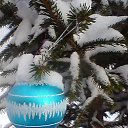 ���� ��������, ������� ��������, 68 ��� - ��������� 8 ������ 2017 � ������ ���� ����������