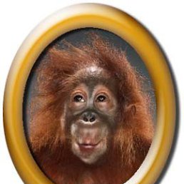 ���������, �������, 90 ���