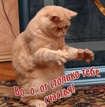     - 3  2016  06:03