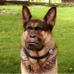 ���� ����, �������, 57 ��� - ��������� 28 ����� 2017