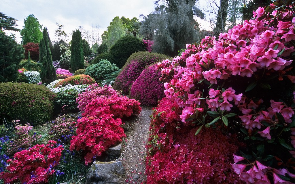 ))). Leonardslee Gardens (  ) , Horsham, West Sussex    ...