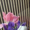  Irina, , 54  -  9  2017   *My flowers*