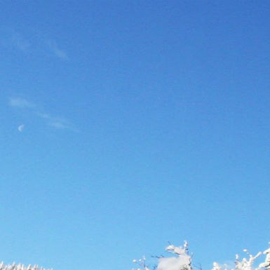   :).   :1.   5   .2.    . ... - 3