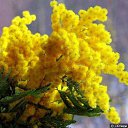 ���� �������, ������, 76 ��� - ��������� 25 ������� 2017 � ������ ������ ��������