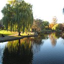 ���� �����, �����, 72 ���� - ��������� 13 ������� 2016 � ������ ���� ����������