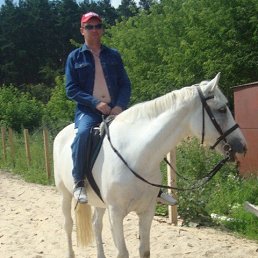 ���� �������, ������, 47 ��� - ��������� 17 �������� 2016