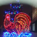 ���� Tamara, ���� - ��������� 25 ������� 2016 � ������ ���� ����������