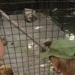 ����, ������, 55 ���