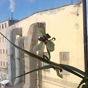 ���� ���������, �����-���������, 64 ���� - ��������� 29 �������� 2016 � ������ ���� �������� ����� !�