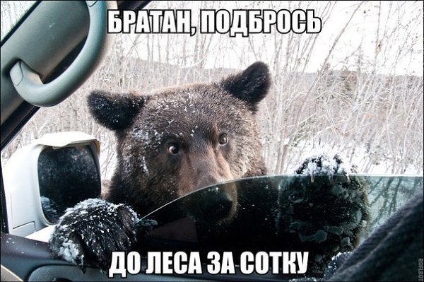    :-) - 28  2016  08:01