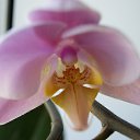 ���� Franca, ����� - ��������� 19 ������ 2017 � ������ ���� ����������
