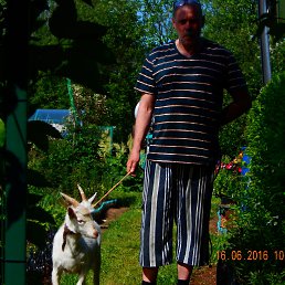 ������, ��������, 58 ���