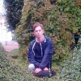 ���� ����, �����-���������, 41 ��� - ��������� 26 ������� 2016