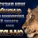 ���� �����, �����, 39 ��� - ��������� 25 ������� 2016 � ������ ���� ����������