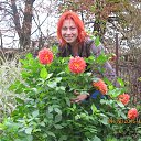 ���� �������, ������, 55 ��� - ��������� 5 ������� 2016 � ������ ���� ����������