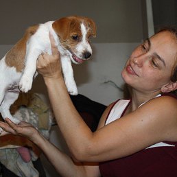 ���� Bullika, �����-��������� - ��������� 5 ������� 2016