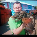 ���� �������, ������, 43 ���� - ��������� 15 ������� 2016 � ������ ���� ����������