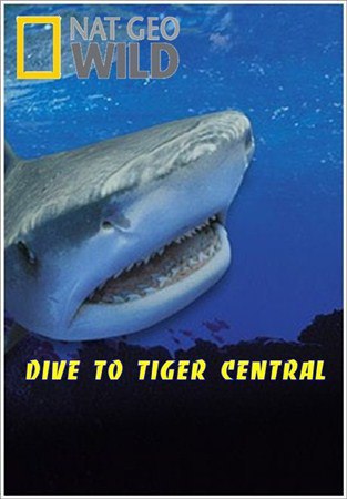     .(Dive to Tiger Central)         ...