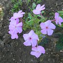  , , 73  -  25  2016     2016