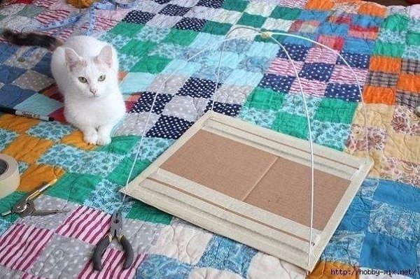 Фото из записи: