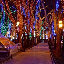 ���� ����, ������ - ��������� 23 �������� 2016 � ������ ���� ����������