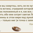 ���� �����., ������ - ��������� 31 ������� 2016 � ������ ������ ��������