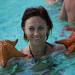 �����, �������