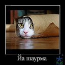 ���� ������, ����������, 55 ��� - ��������� 29 ������ 2017 � ������ ���� ����������