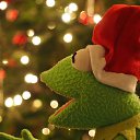 ���� ����, ������, 24 ���� - ��������� 8 ������� 2016 � ������ ���� ����������