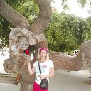 ���� �����, �����, 43 ���� - ��������� 21 ������ 2017 � ������ ���� ����������