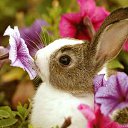 ���� �������, ��������, 47 ��� - ��������� 15 ������� 2016 � ������ ������ ��������