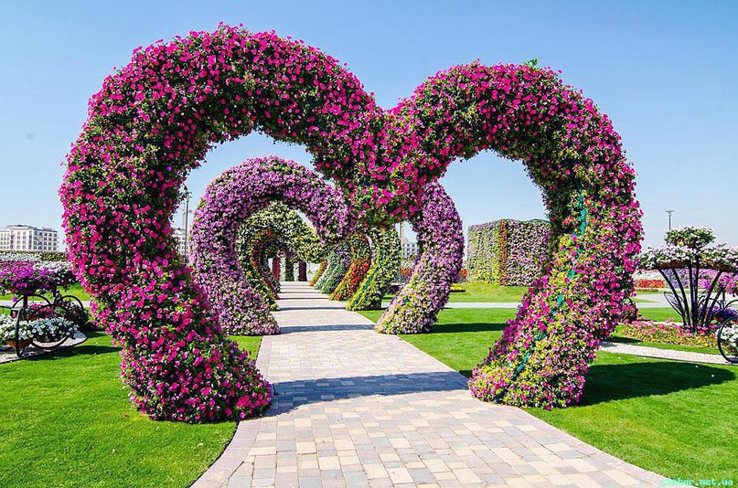 #Dubai Miracle Garden -      , # - 9